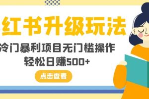 （8014期）小红书升级玩法，冷门暴利项目无门槛操作，轻松日赚500+