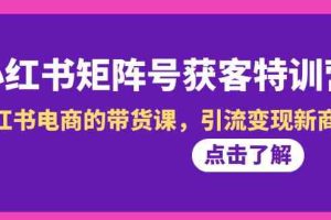 （8909期）小红书-矩阵号获客特训营-第10期，小红书电商的带货课，引流变现新商机