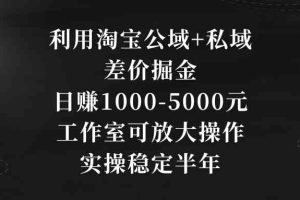 （8952期）利用淘宝公域+私域差价掘金，日赚1000-5000元，工作室可放大操作，实操…