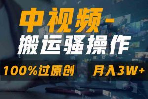 （8907期）无脑双重去重原创视频，100%中视频+视频号分成计划，一键多平台发布小白…