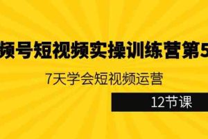 （9029期）视频号短视频实操训练营第5期：7天学会短视频运营（12节课）