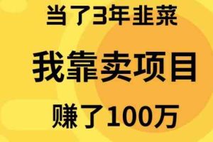 （9100期）当了3年韭菜，我靠卖项目赚了100万