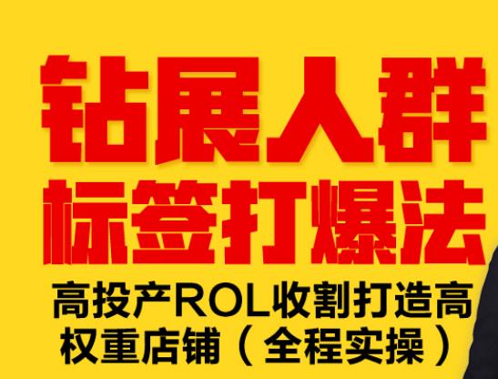 钻展人群标签打爆法，高投产ROL收割打造高权重店铺(全程实操)