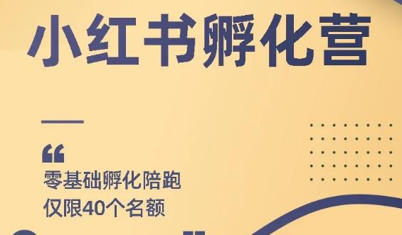 勇哥小红书撸金快速起量项目：教你如何快速起号获得曝光，做到月躺赚在3000+