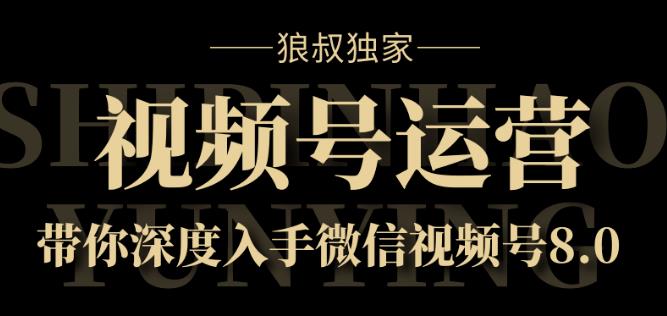 狼叔独家：视频号运营实战课8.0，带你深度入手微信视频号