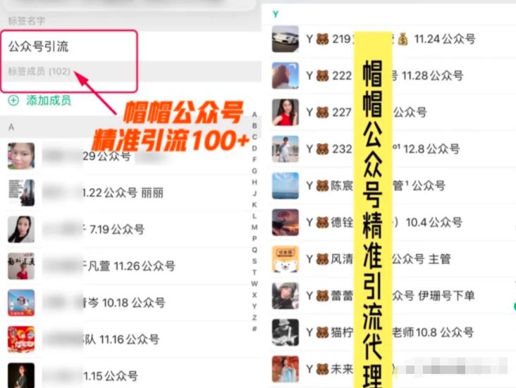 7天玩转微信公众号被动引流系统，日引100+精准流量【视频课程】