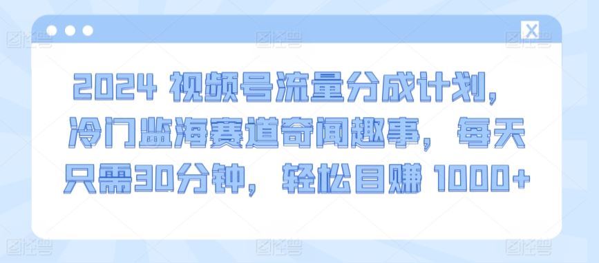 2024视频号流量分成计划，冷门监海赛道奇闻趣事，每天只需30分钟，轻松目赚 1000+【揭秘】