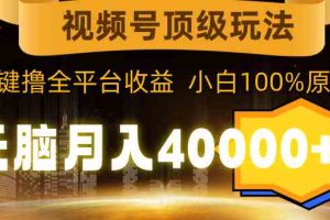 （9281期）视频号顶级玩法，无脑月入40000+，一键撸全平台收益，纯小白也能100%原创