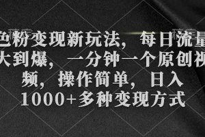 （9282期）色粉变现新玩法，每日流量大到爆，一分钟一个原创视频，操作简单，日入1…