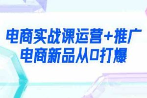 （9313期）电商实战课运营+推广，电商新品从0打爆（99节视频课）